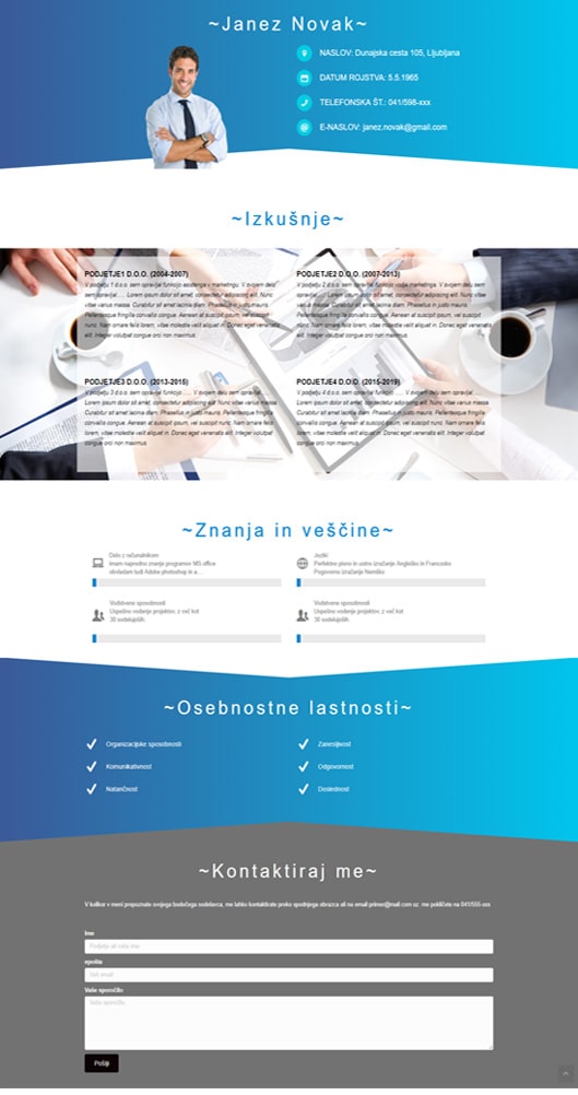 spletni-cv_primer